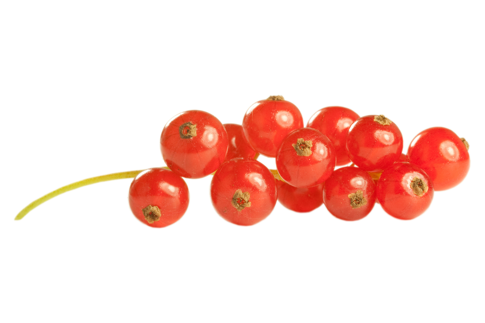 Preiselbeeren Aroma - hochkonzentriertes Lebensmittelaroma
