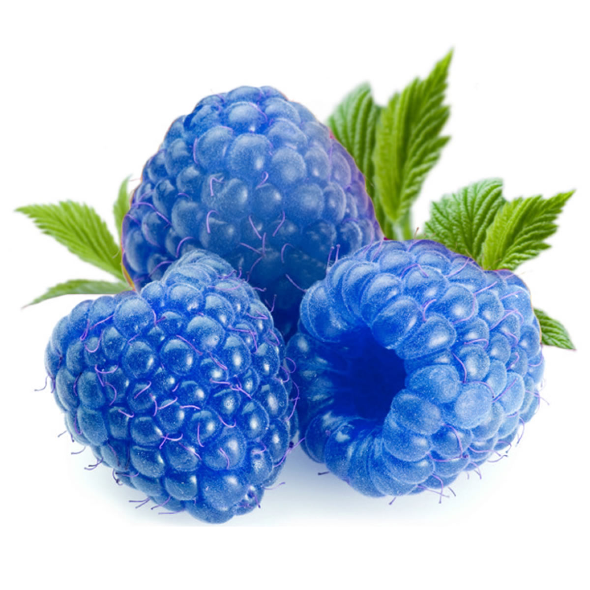 Blue Raspberry Aroma - hochkonzentriertes Lebensmittelaroma